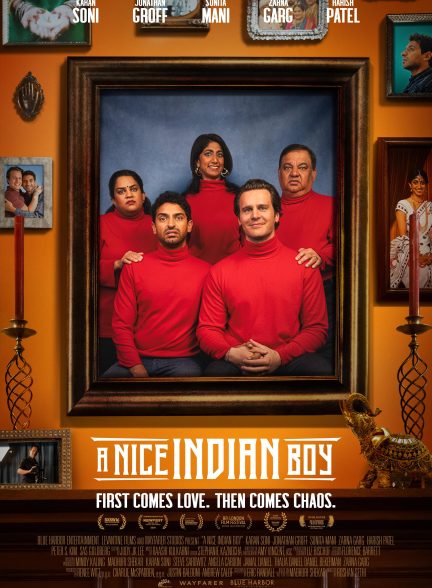 A Nice Indian Boy 2024