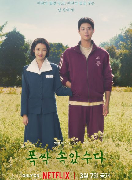 When Life Gives You Tangerines 2025