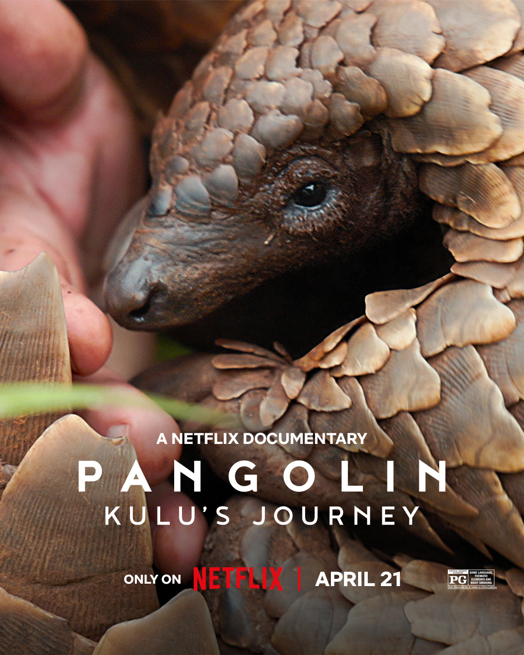 Pangolin: Kulu’s Journey 2025