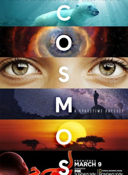 Cosmos: A Spacetime Odyssey 2014