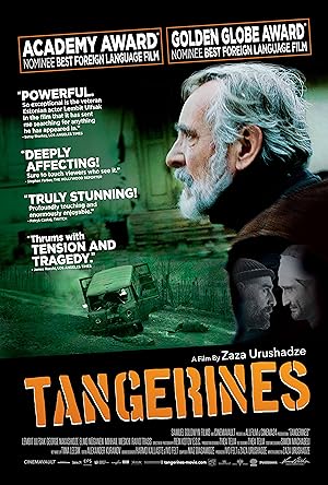Tangerines 2013