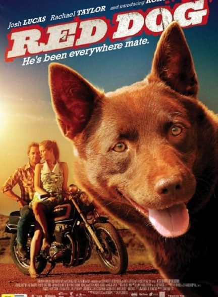 Red Dog 2011