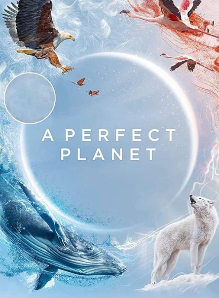 A Perfect Planet 2021