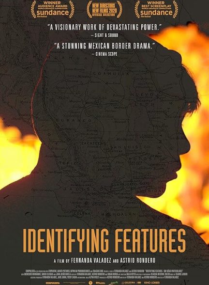 Identifying Features 2020