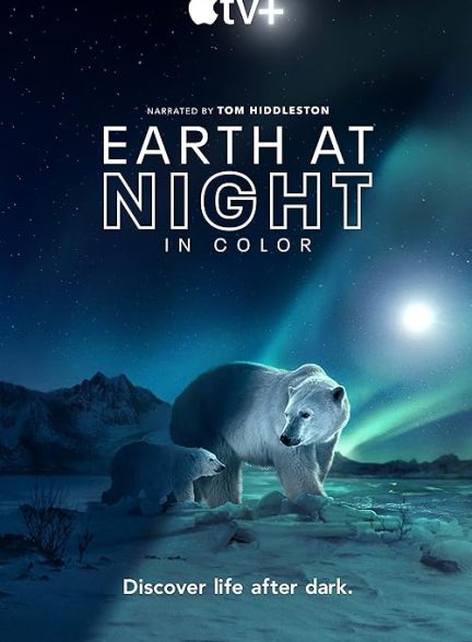 Earth at Night in Color 2020