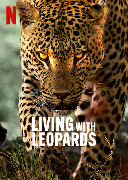 Living with Leopards 2024