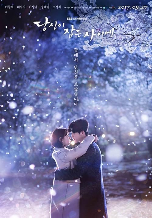 While You Were Sleeping 2017