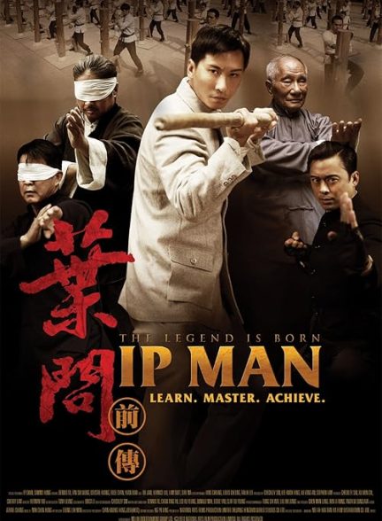 The Legend Is Born: Ip Man 2010