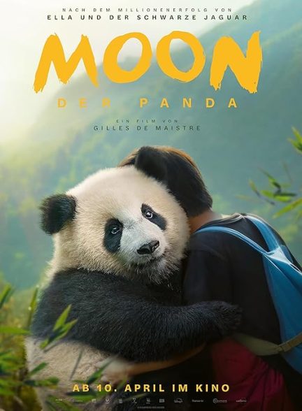 Moon le panda 2025