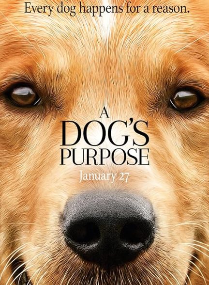 A Dog’s Purpose 2017