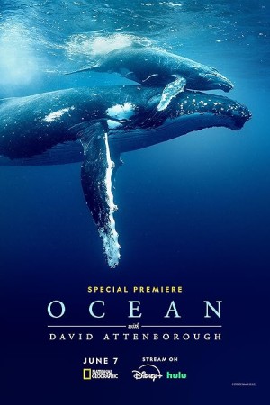 Ocean with David Attenborough 2025