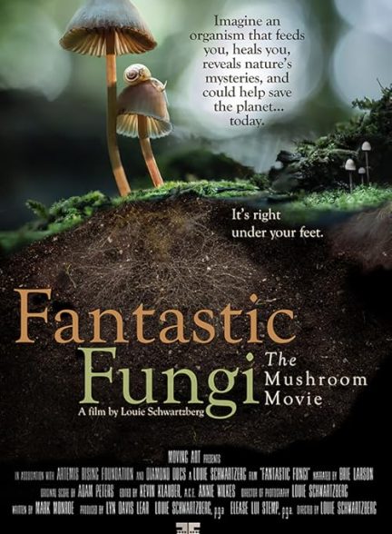 Fantastic Fungi 2019