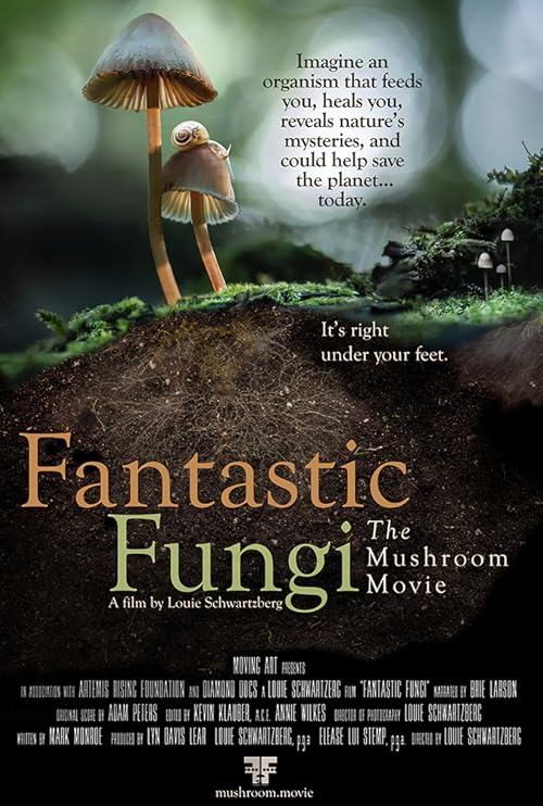 Fantastic Fungi 2019